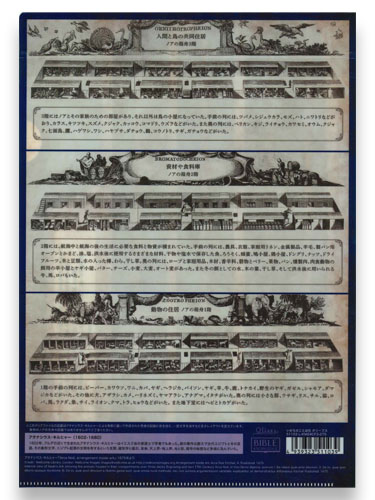 画像3: クリアファイル ノアの箱舟内面図　※返品不可商品