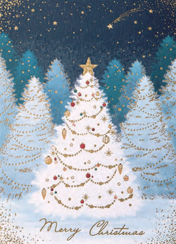 画像1: クリスマスカード（聖句入り）S220-143　※返品不可商品