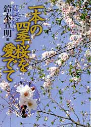 画像1: 一本の四季桜を愛でて