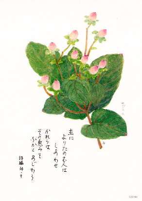 画像1: 花と祈りポストカード　ヒペリカム （5枚組）