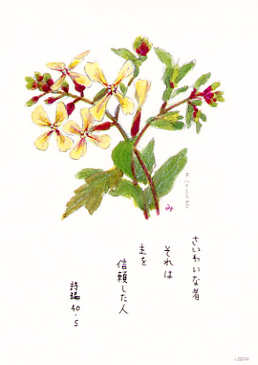 画像1: 花と祈りポストカード　キハナススシロ （5枚組）