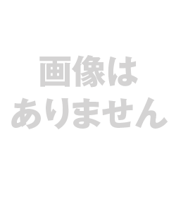 画像1: 新カトリック大事典 第2巻   ※お取り寄せ商品