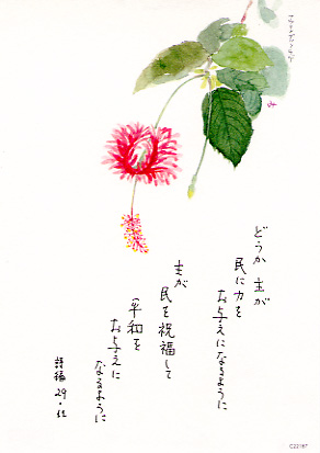 画像1: 花と祈りポストカード　フウリンブッソウゲ（5枚組）